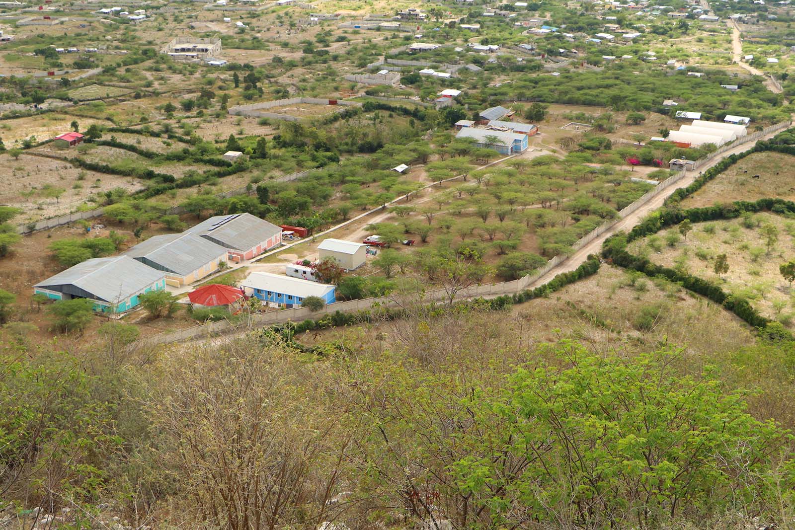 Haiti Travel Advisory